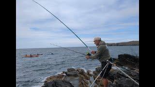 Species Hunt GRAND SLAM - Holyhead Club Rover Holy Island - Anglesey Rock Fishing