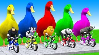 5 Giant Duck, Cow, Elephant, Ferdinand, Gorilla, Lion, Tiger, Transfiguration funny animals 2024