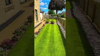 Quintessential Scottish Stripe in the summer sun. Absolutely stunning! #gardening #lawn #shorts