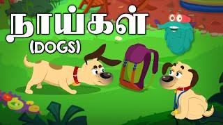 நாயின் மோப்ப சக்தி | Dog's Smelling Power | Dr. Binocs Tamil | Kids Learning Video