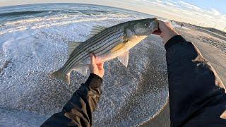 Catching Topwater Stripers Til' My Arms Fall Off!