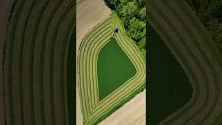 Cutting my 1.7 acre field of alfalfa! #agriculture #farm #farming #Timelapse #newholland #farmer