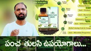 పంచ తులసి డ్రాప్స్  చేసే అద్భుతాలు | RCM Pancha Tulasi Drops Product | RCM Business Telugu |