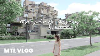 Living Alone in the City | MTL VLOG