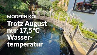 Eine Wasseranalyse an Werners schattigem Teich | Modern Koi Blog #7193