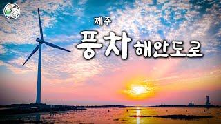 [4K] 신창풍차해안도로 : 제주 일몰 명소, 선인장 자생지 (Jeju sunset attractions)