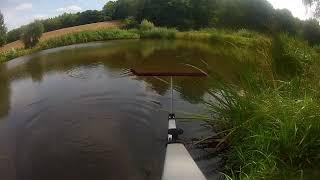 Feedern am kleinen Teich