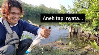 Ikan dalam botol. Mancing ikan Belanak pakai botol bekas