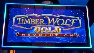 Awesome Jackpot Bonus Win on Timber Wolf Gold Revolution Slot Machine