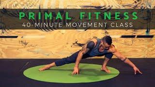 *LOVE YOGA? TRY PRIMAL MOVEMENT* Workout for Mobility & Core (Follow Along, No Equipment)