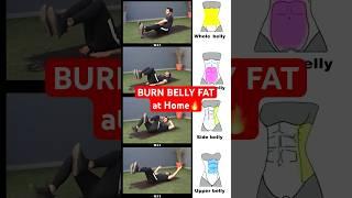 Reduce 15kgs (BELLY FAT) without Gym!