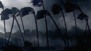 Tropischer Regensturm: Wind und Regengeräusche zum Einschlafen (9 Stunden)
