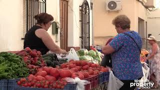 Spanish Property Choice Video Tour, Arboleas, Almeria, Spain