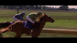 Dreamer: Inspired by a True Story - Soñador Winning The Breeders’ Cup (HD)