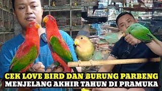 HARGA BURUNG LOVE BIRD DAN BURUNG PARUH BENGKOK MENJELANG AKHIR TAHUN DI PASAR BURUNG PRAMUKA