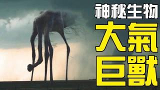 【UMA丨大氣生物】大氣層中到底有沒有生命體？多人目擊的美國克勞福茲維爾怪物到底是什麼？丨神秘動物學UMA羊駝解說丨黑毛羊駝