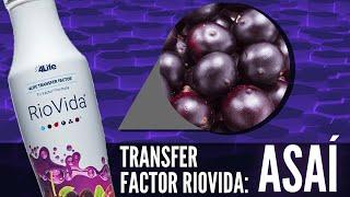 4Life Transfer Factor Riovida - ASAÍ  BENEFICIOS