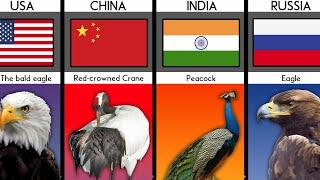 National Bird From Different Countries