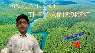 Why are RAINFORESTS important ? | Education #rainforest  #forest #naturalresources  #kids