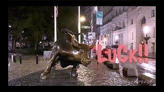 Charging Bull | Wall Street Bull | Cinematic Shots