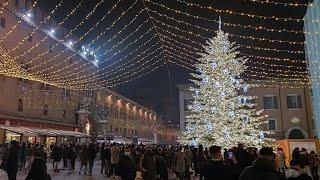 Ferrara, acceso l'albero di natale in Piazza Cattedrale