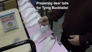 Preparing a Deer tail to tie a Bucktail