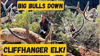  Elk Hunting Arizona…Big Bulls All Over the State | Elk Season Recap |  #elkhunting #hunting #elk