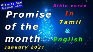 Promise of the month |January 2021 I TLE Gospel Media