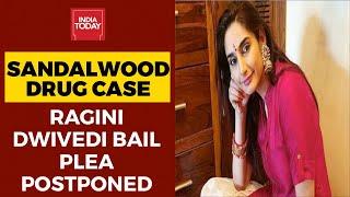 Sandalwood Drug Case: Ragini Dwivedi's Bail Plea Hearing Adjourned To September 19