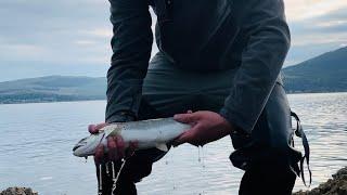 A Glorious Day Fishing For Sea Trout!