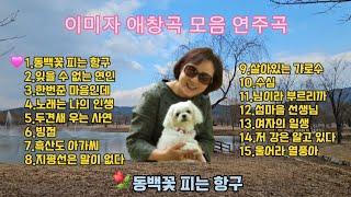 전자올겐 메들리 / 가슴을 파고드는 트로트 / 전자올겐 경음악 / 전곡 가사