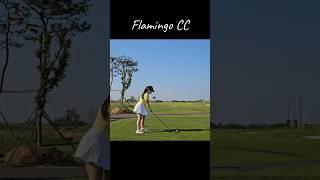 5월의 플라밍고는 좋아따 #golf #golfswing #골프스윙 #키작녀 #골린이 #일상 #구독 #제스타임 #라제스타임 #페어레이디 #아이언 #제스타임서포터즈 #골프치는여자