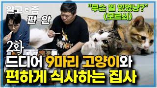 2화 장난꾸러기 9마리 고양이 때문에 모기장 쳐놓고 밥 먹던 집사.. 나응식 수의사의 솔루션으로 편하게 식사하게  된 해피엔딩┃고양이를 부탁해┃알고e즘