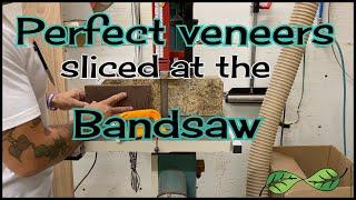 Perfect veneers sliced at the bandsaw