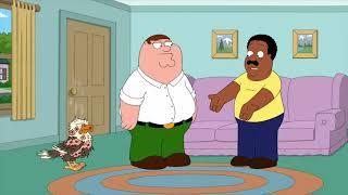 Family Guy - Healing an abused animal