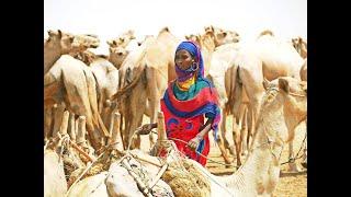 People of Chad, encounters on the pathways of Chad