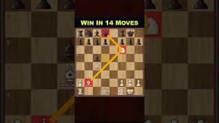 Danish Gambit at its Best | Chess Opening Tricks to WIN Fast #shorts