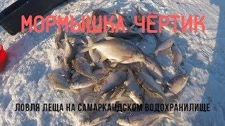 Ловля леща на чертика и безнасадочную мормышку.