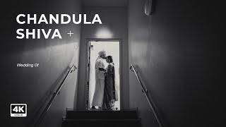 Traditional Tamil Wedding  // CHANDULA + SHIVA / Auckland, New Zealand