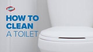 Clorox® How-To : Clean a Toilet