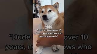 Doge Then and Now #shorts #memes