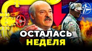 ОБОСТРЕНИЕ у границ: к чему готовятся военные НАТО? Минск затопило // Новости Беларуси