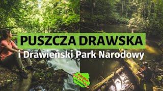 Gwiazdy i tajemnicze ruiny nad Drawą. NAJDZIKSZA część Polski Płn.  / Polska Na Przełaj s02e06