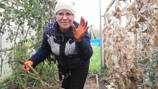 ТОЛЬКО СОБЕРЕШЬСЯ РАБОТАТЬ,ОБЯЗАТЕЛЬНО ПРИДУТ ГОСТИ!ДЕРЕВЕНСКИЕ БУДНИ!