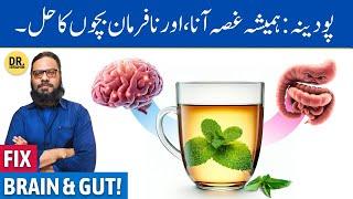 Pudina Ki Chai Ke Gharelu/Jismani Fayde | Mint Tea Benefits | Dr. Ibrahim