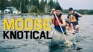 Moose Knotical 2019