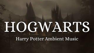 Harry Potter Music [LIVE 24/7]  Cozy Hogwarts Radio |Muggleproof