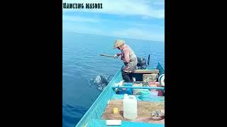 Rekor Mancing Ikan Tuna Monster DiLaut Maluku  Seperti Menarik Kapal