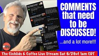 *YOUR COMMENTS* INSPIRING DISCUSSION [and a Lot MORE!] - It's The Cichlids & Coffee Live Stream!