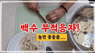 50대 물류다니는 여자/백수된 여자의 불안/ 쿠팡 지원/알바구함/애견셀프미용/강아지수제간식